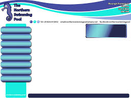 Image result for Isle of Man Swimming Club