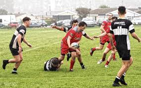 Image result for Pembroke Dock Harlequins RFC