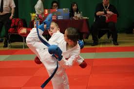 Image result for Ynys Mon Shukokai Karate Club, North Wales