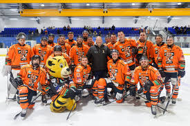 Image result for Telford Junior Ice Hockey Club