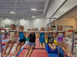 Image result for Mk Springers Gymnastics Club