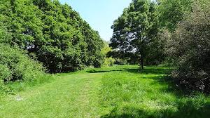 Image result for Friary Bowls Club