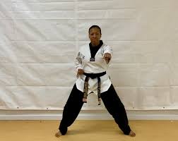 Image result for Dallo Martial Arts
