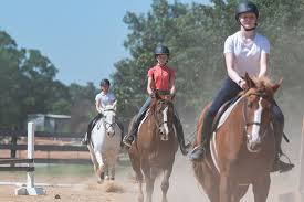Image result for Bookham Riding School