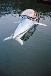 Image result for Dolphin Sub Aqua
