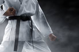 Image result for New Path Martial Arts Academy