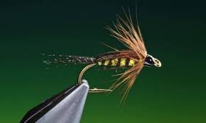 Attēlu rezultāti vaicājumam “nymph”