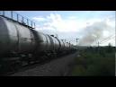 Dieselisation
