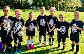 Image result for Netherne Community Amateur Sports Club