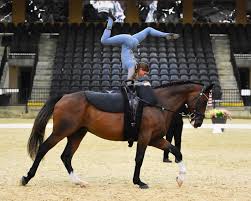 Image result for Winchester Riding Club