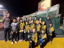 Image result for Newport (Salop) Cricket Club