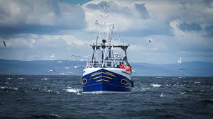 Image result for Arran Yacht Club