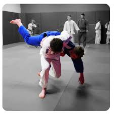 Image result for Solihull Judo Club