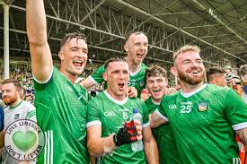Image result for University Of Limerick Gaa Hurling Club