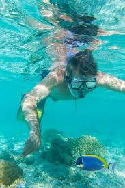 Image result for Belfairs Dolphins Snorkelling Club