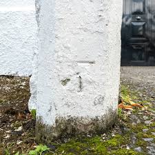 Image result for example