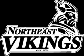 Image result for North East Vikings