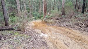 Image result for Strathbogie Rambling Club