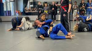 Image result for Team Renegade BJJ & Judo