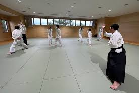 Image result for Aikido - Takama Hara Aikido Dojo