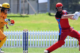 Image result for Consett & District Cricket Club