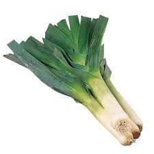 Image result for Porree