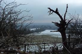 Image result for Guildford Sc