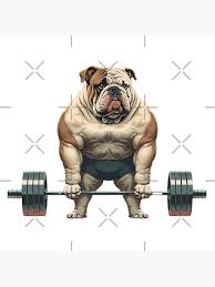 Image result for Bulldogs Power and strength