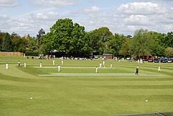Image result for Stirlands Cricket Club