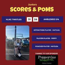 Image result for Hn Ladies Netball Club