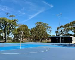 Image result for Fife Phantoms Netball Club