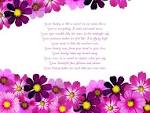 http://www.lovewayz.com/wp-content/uploads/2011/10/Short-Love-Poems.jpg