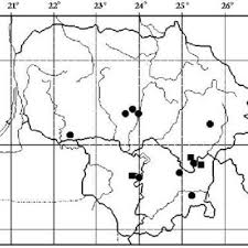 Attēlu rezultāti vaicājumam “Amaurochaete sp.”