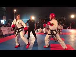 Image result for Torbay Taekwondo Schools