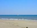 Galveston Beach House Vacation Sales and Rentals – CENTURY 21 Bay ...