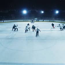 Image result for Stingers Korfball Club