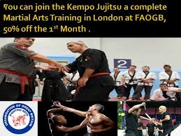 Image result for Fighting Arts Organisation of Great Britain