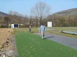 Image result for Bronwydd Cricket Club