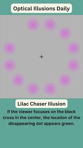 Image result for Lilac Chaser