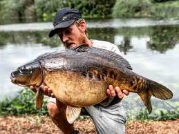 Image result for Hull & District Anglers' Association