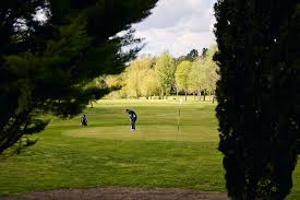 Image result for Downshire Golf Complex