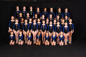 Image result for East Staffs Gymnastics Club