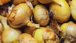 Image result for Zwiebeln