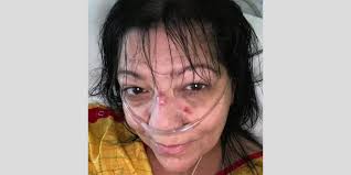 Attēlu rezultāti vaicājumam “Pandemis cinnamomeana female”