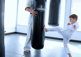 Image result for Epsom and Leatherhead Martial Arts