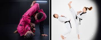 Image result for Tae-jitsu