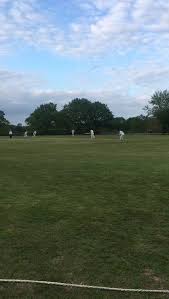 Image result for Lynchmere Cricket Club