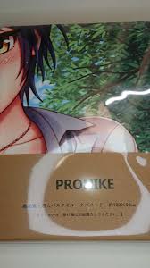 「アリエータ・リュイス」の画像検索結果