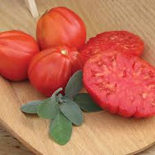 Afbeeldingsresultaat voor CDB tomato