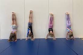 Image result for Wolverhampton Gymnastics Club